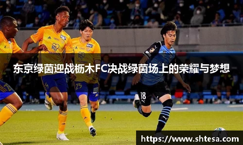 东京绿茵迎战枥木FC决战绿茵场上的荣耀与梦想